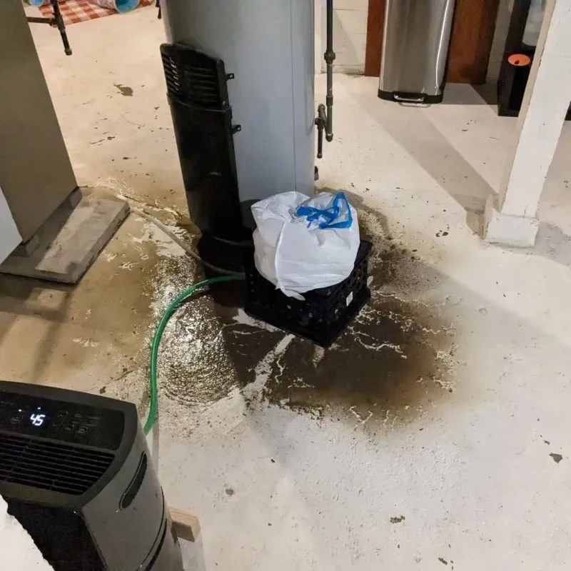 Sewage Backup Cleanup Service in Bee County, TX
